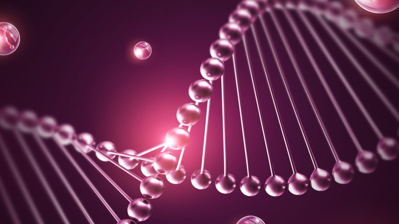 CDMO定制研发生产厂家：揭秘药物研发背后的“隐形英雄