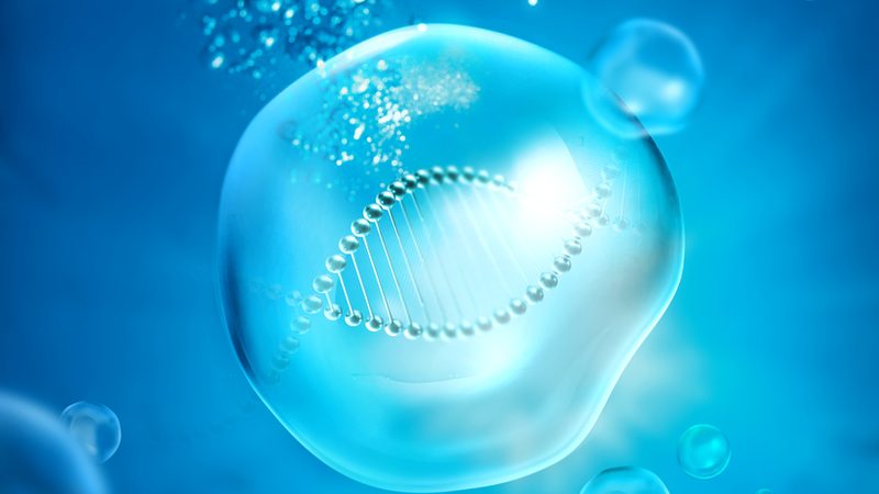 CDMO定制研发资质要求：揭秘合规之路