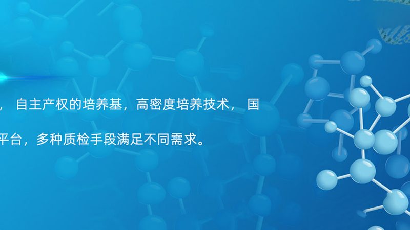 血液制品不良反应处理：关键步骤与应对策略**