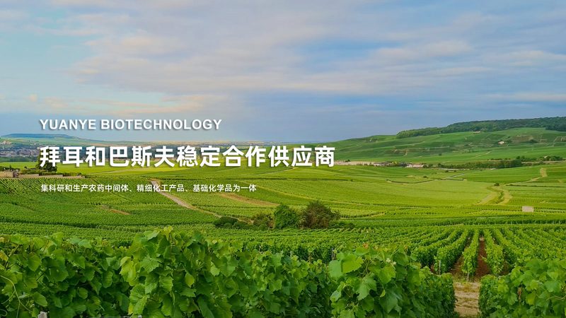 CRO平台价格对比：揭秘加盟背后的考量因素
