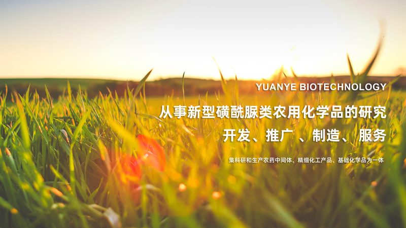 美容仪也能生物科技？上海生物科技美容仪使用注意事项揭秘