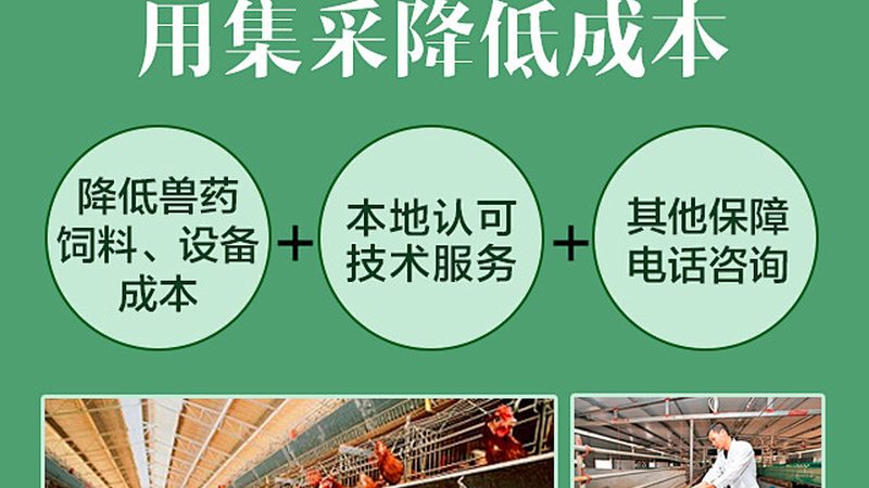 食品PCR检测：技术规范解析与实施要点