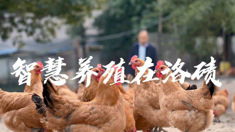 国产实验室耗材哪家好