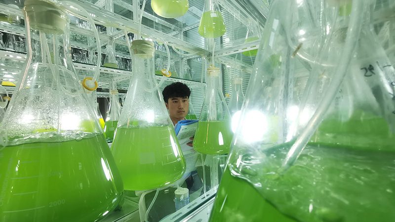 细胞培养，如何选择北京优质品牌？**